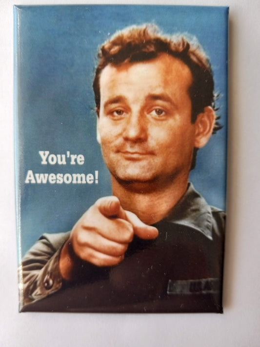 Bill Murray You're Awesome Magnet
